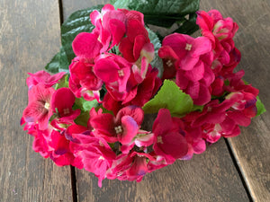 18" Hydrangea Bush x5 - Hot Pink Beauty