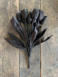 20" Black Tulips Bush x14