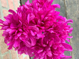 16" Mum Bush x9 - Fuchsia