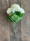 19" High Quality Hydrangea Bush x5 - White