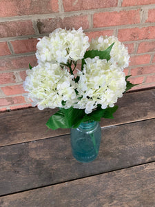 19" High Quality Hydrangea Bush x5 - White