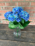 19" High Quality Hydrangea Bush x5 - Blue