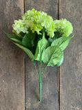 19" High Quality Hydrangea Bush x5 - Light Green