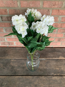 White Hydrangea Bush x5