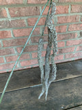 23" Silver Shimmer Amaranthus Stem