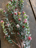 30" Greenery Stem with Red Berries and Snow