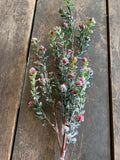 30" Greenery Stem with Red Berries and Snow