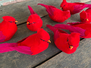 6" Cardinals 8 Pc