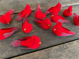 3.25" Cardinals Dozen