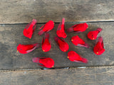 3.25" Cardinals Dozen