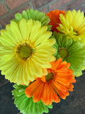 19" Gerbera Daisy Bush x12 - Yellow Green Orange