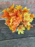 19" Maple Leaf Bush x12