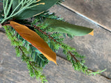 24" Magnolia Leaf and Pine Spray with Cedar x6 Tips