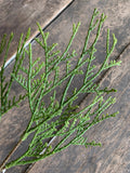 6 Stems - 14.5" Flocked Cedar Stem