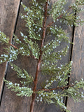 30" Juniper Branch with Light Blue Berries x5