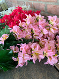 21" Hyacinth Bush x9 - White Hot Pink Light Pink