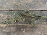 52" Plastic Newgrowth Myrtle Branch