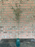 52" Plastic Newgrowth Myrtle Branch