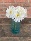 12" Gerbera Daisy Bouquet x6 - White