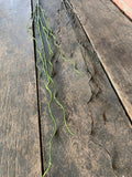 44" Plastic Twig Curly Willow Branch - Brown Green