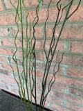 44" Plastic Twig Curly Willow Branch - Brown Green