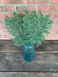 12 Stems - 13" Plastic Leather Fern