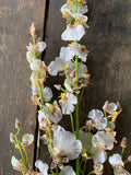 40" Dancing Orchid Spray - Yellow White