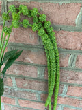 51" Green Amaranthus Stem x3