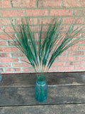 12 Stems - 30" Onion Grass