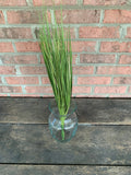 22" Light Green Grass Bush