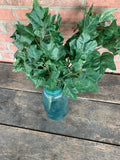 24" Green Hanging Ivy Bush x9