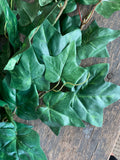 24" Green Hanging Ivy Bush x9