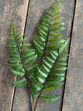 34" Plastic Fern Stem x3