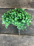 12 Stems - 7" Boxwood Pick