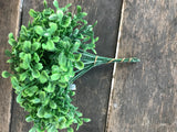 12 Stems - 7" Boxwood Pick