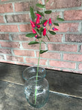 3 Stems - 21" Red Pepper Spray