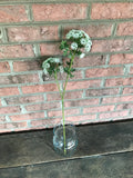 6 Stems - 24" Queen Ann x2 - White