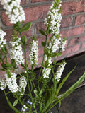 18" Plastic White Berry Bush x4