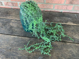 32" Plant Vine Bush