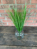 21" Monkey Grass x8 with White Tips