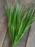 21" Monkey Grass x8 with White Tips