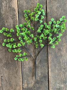 20" Maiden Hair Fern Spray