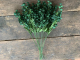 12 Stems - 18" Dark Green Baby's Breath