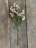 12 Stems - 18" Peach Baby's Breath