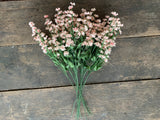 12 Stems - 18" Peach Baby's Breath