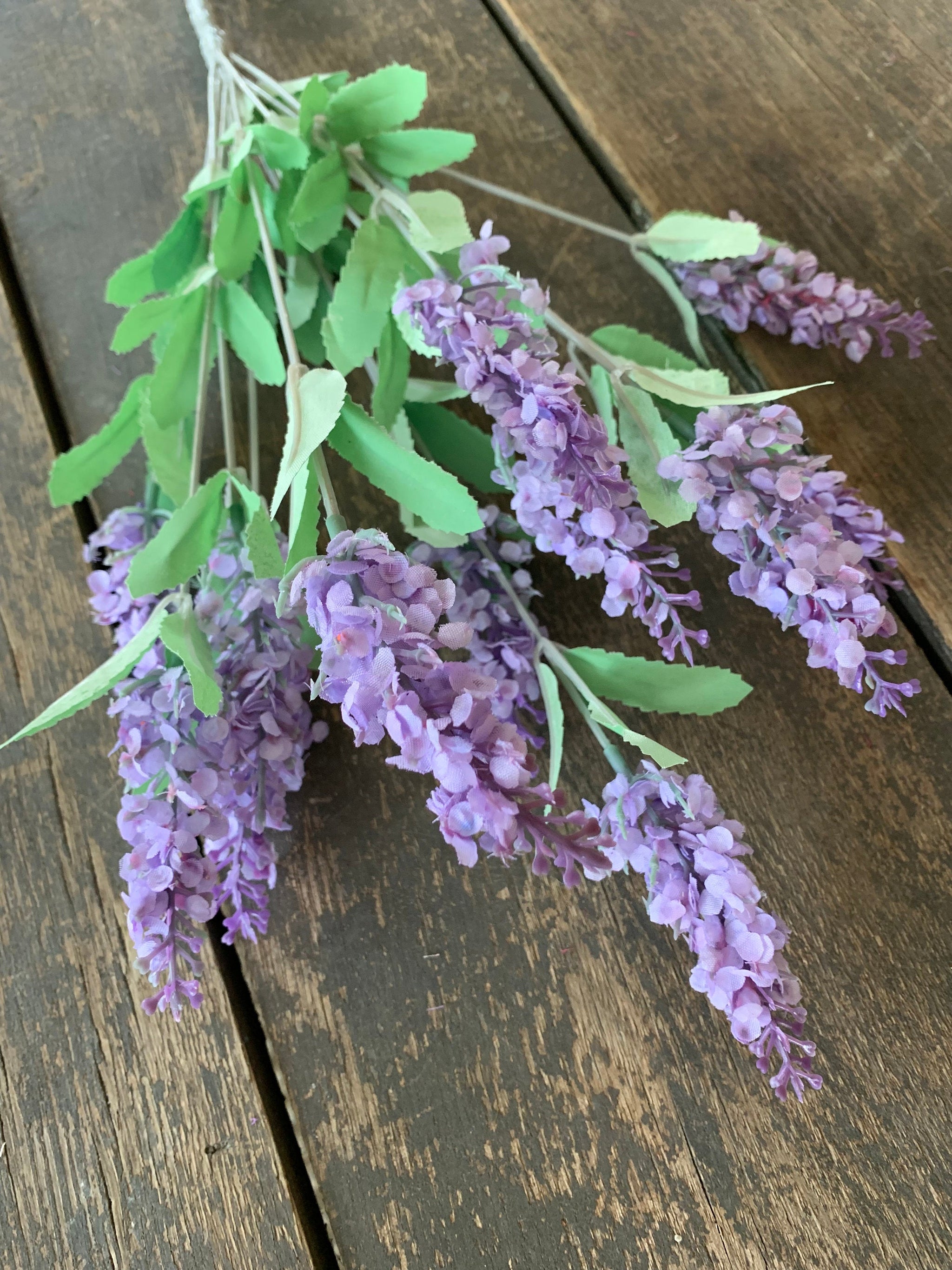 heather plant vs lavender 18" Heather Bush