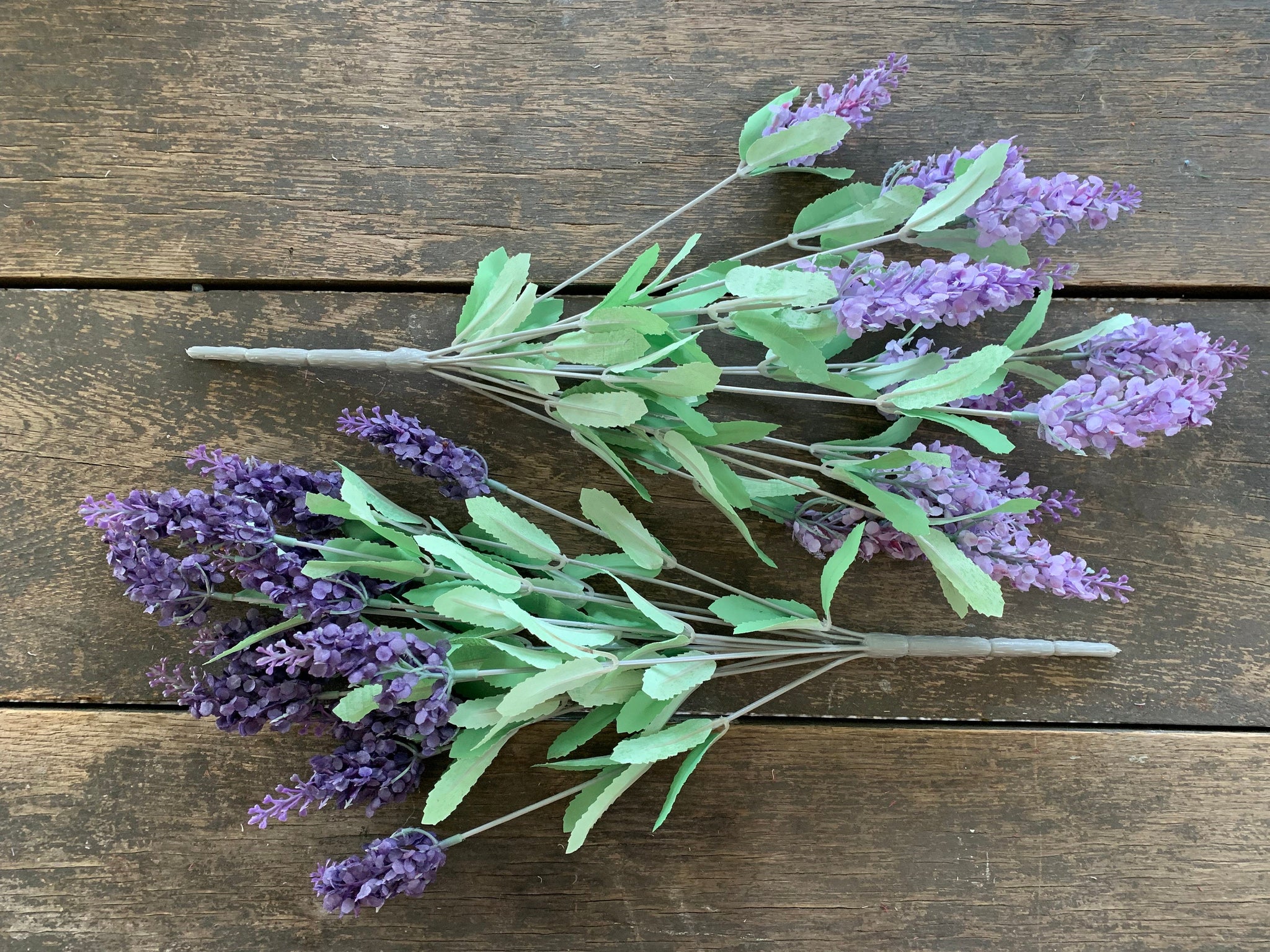 heather flower vs lavender 18" Heather Bush