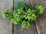 18" Bright Green Styrofoam Berry Bush x7