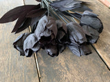 20" Black Tulips Bush x14