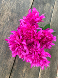 16" Mum Bush x9 - Fuchsia